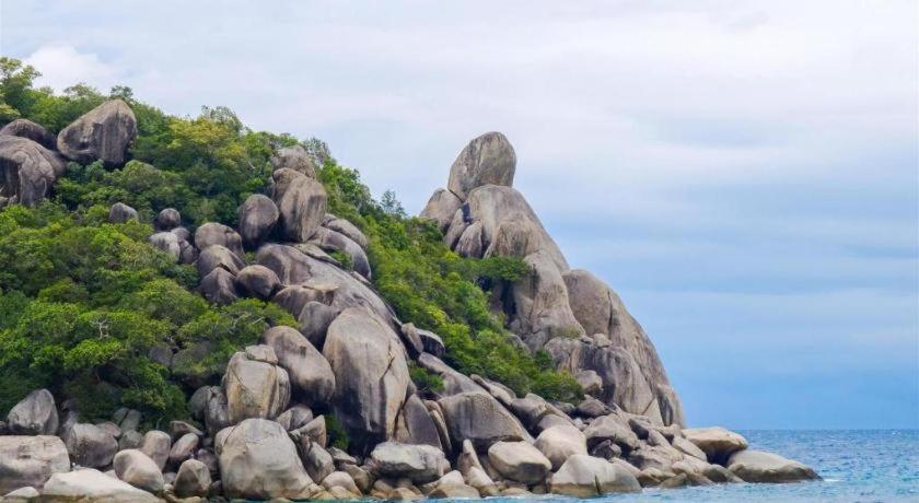 Tao Island Boutique Hotel Koh Tao Exteriör bild